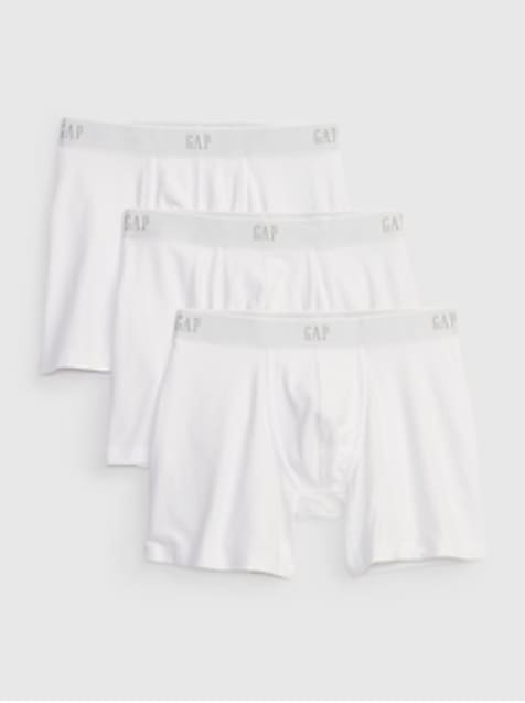 5" Boxer Briefs (3-Pack)