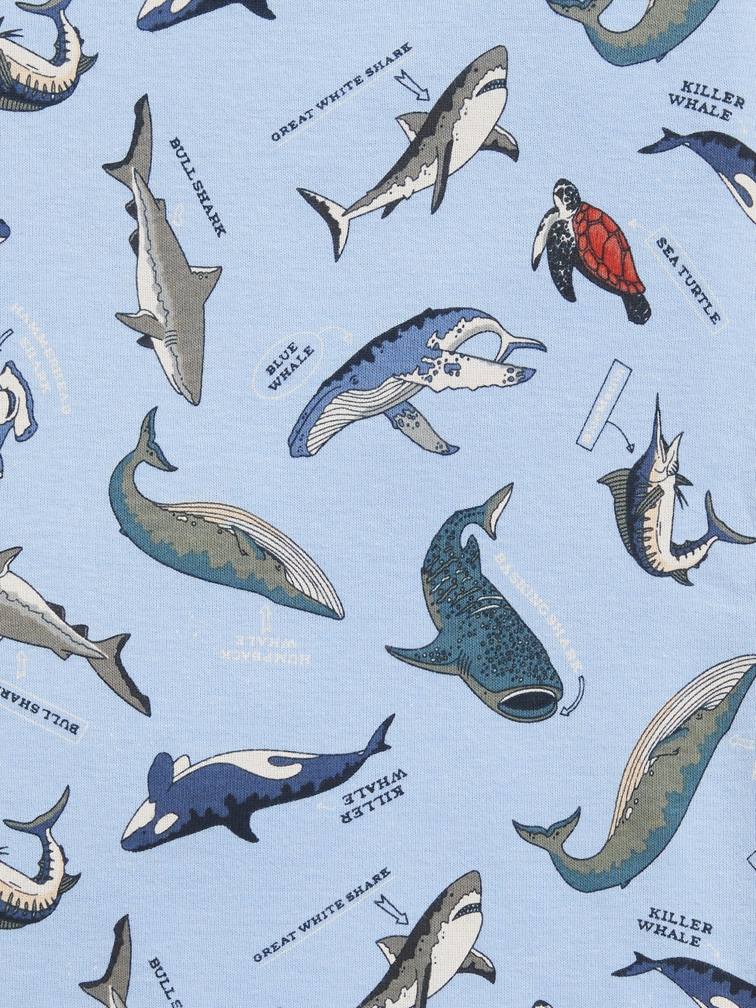 Orca whale top pajamas