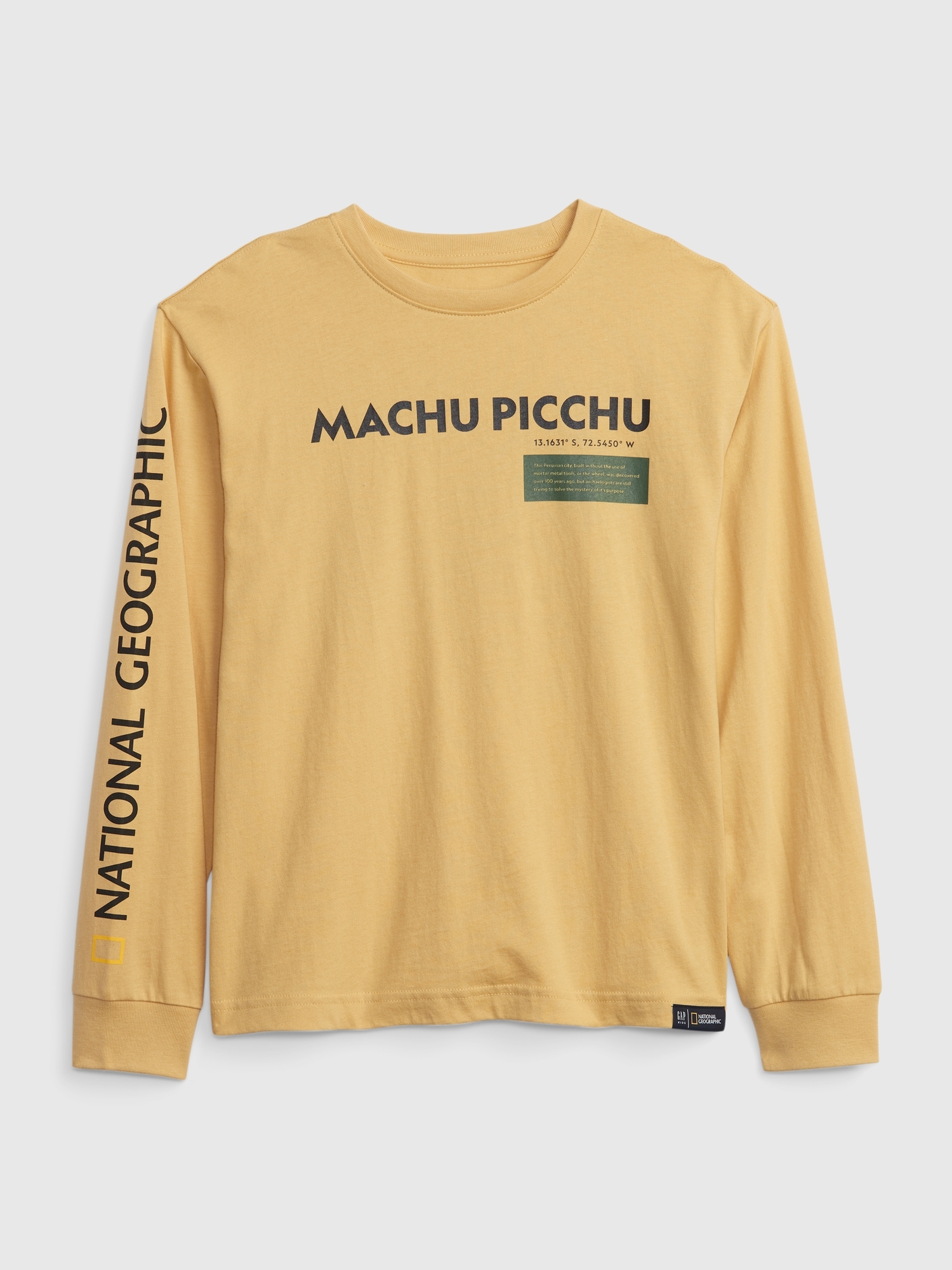 Gap national online geographic hoodie