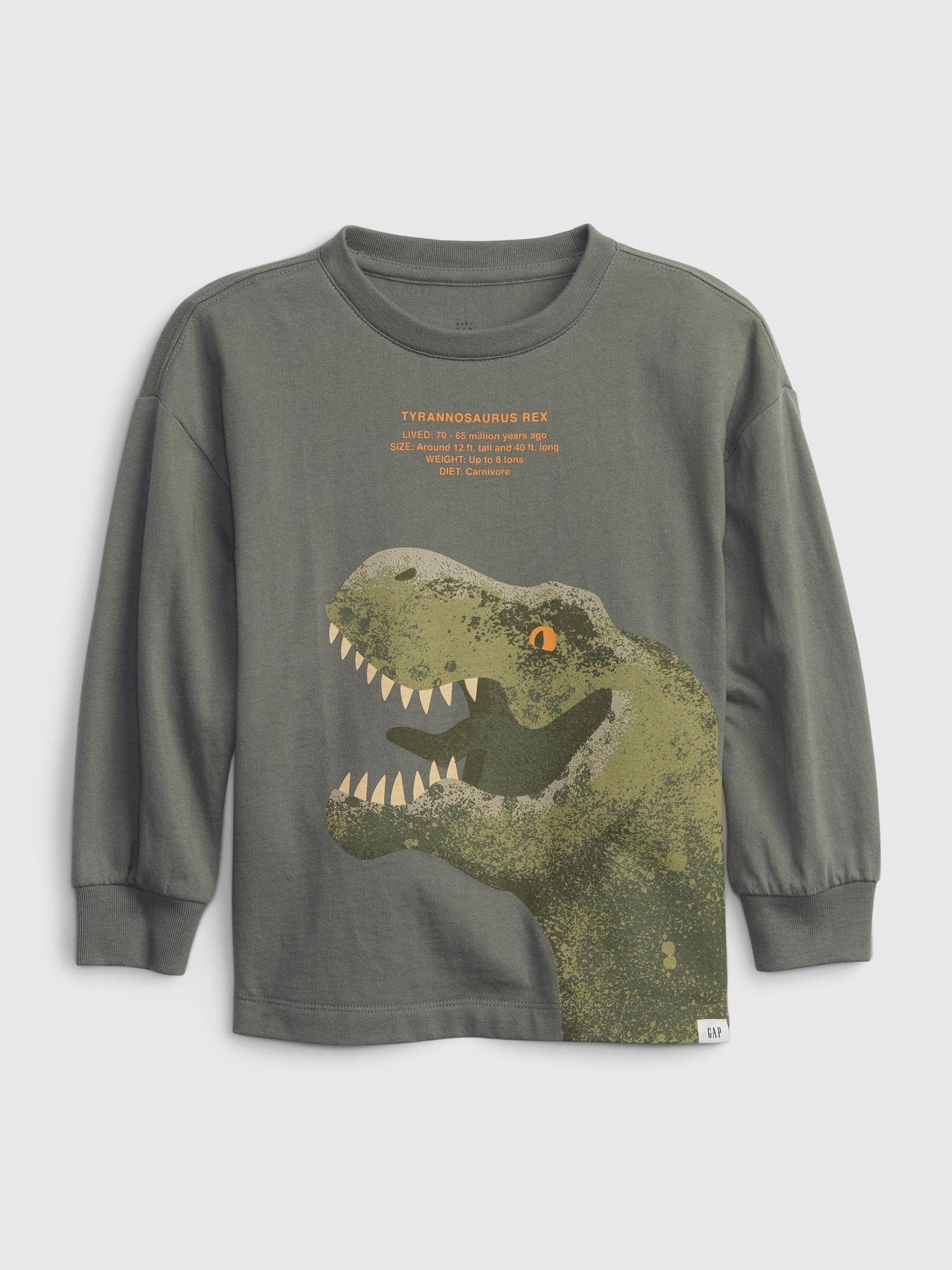 Gap Toddler Dinosaur Graphic T-Shirt