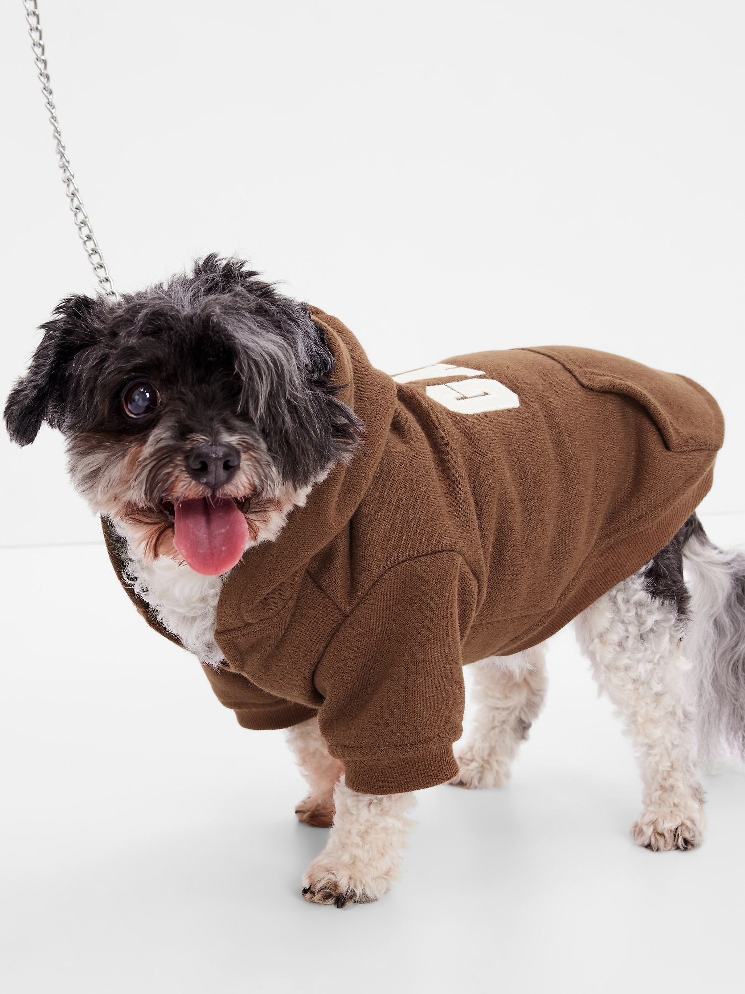 Gap dog hoodie deals