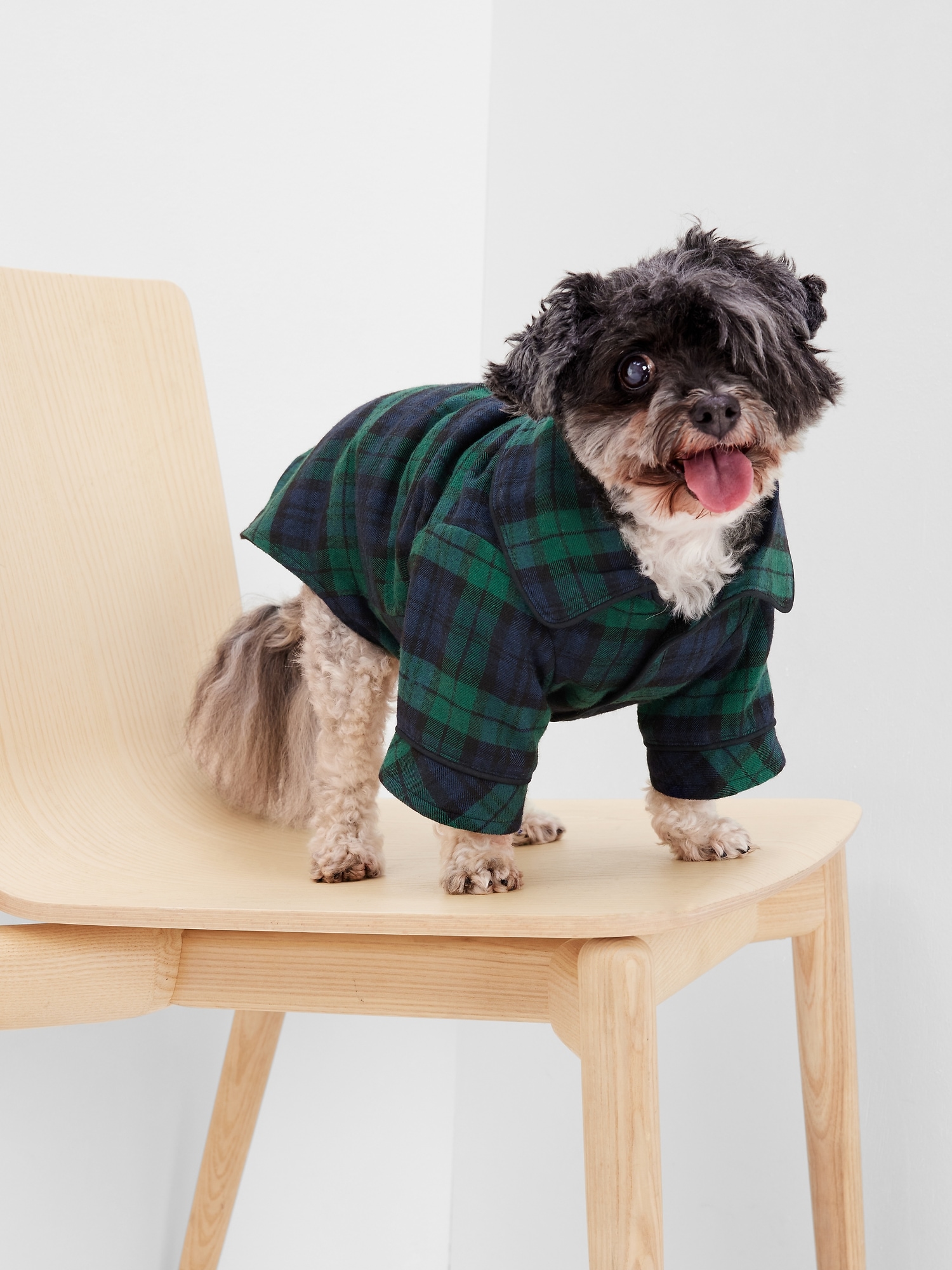 Gap sales dog pyjamas