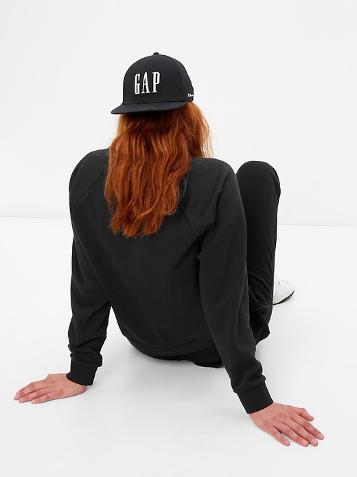 vintage soft raglan sweatshirt gap
