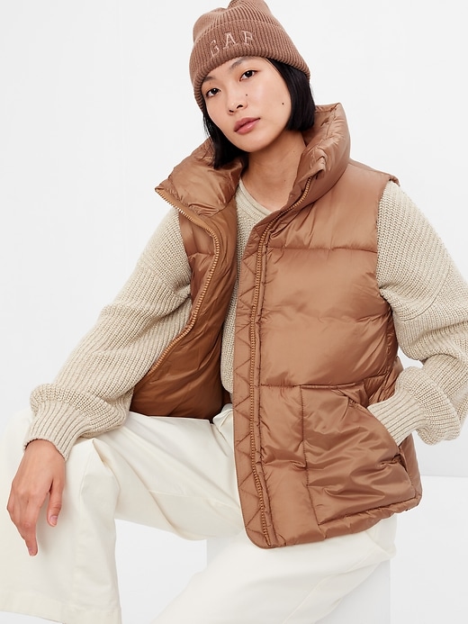1 of 8 showing, with the color holiday brown of product Big Puff Vest