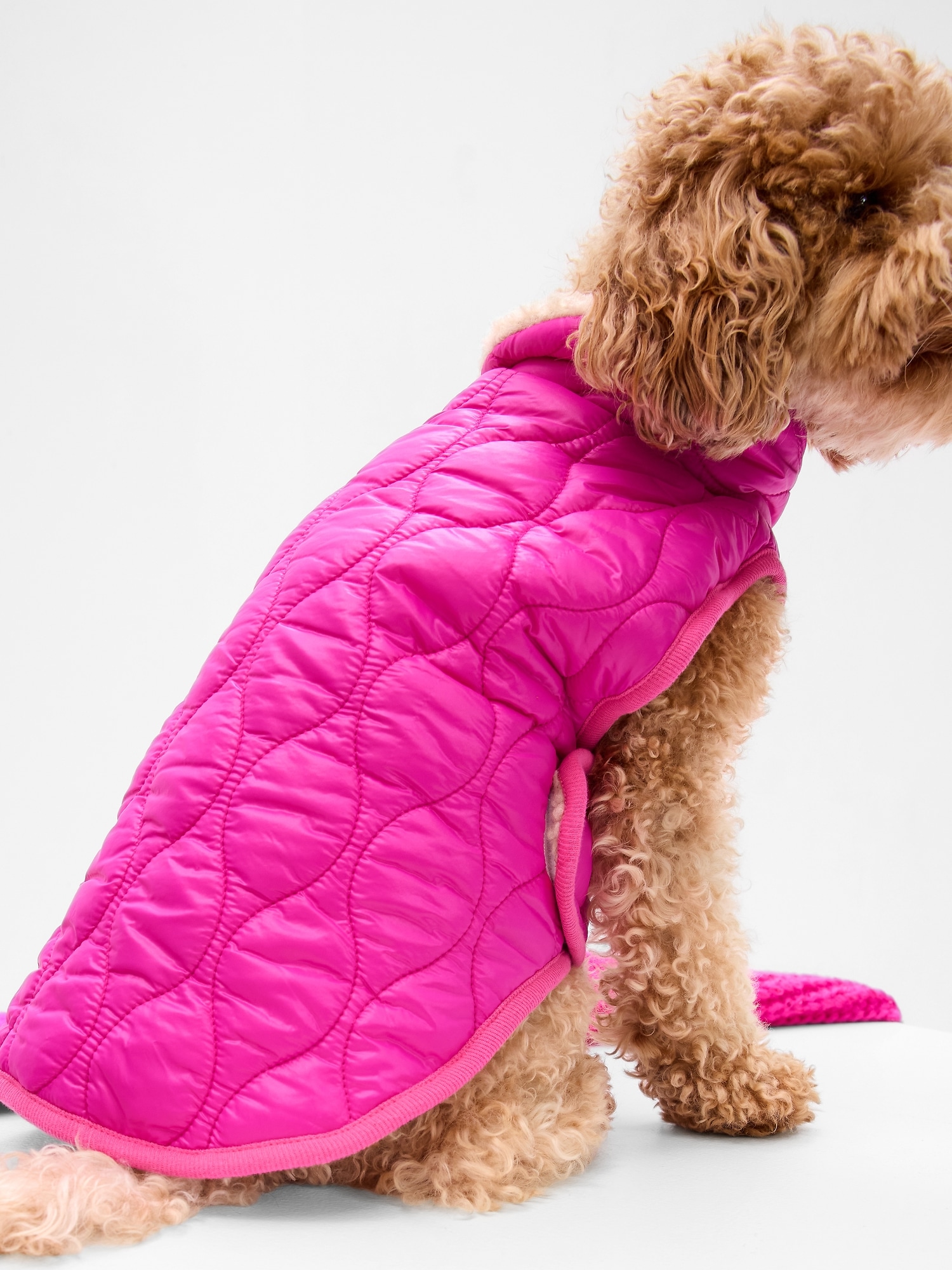 puffer-dog-jacket-gap