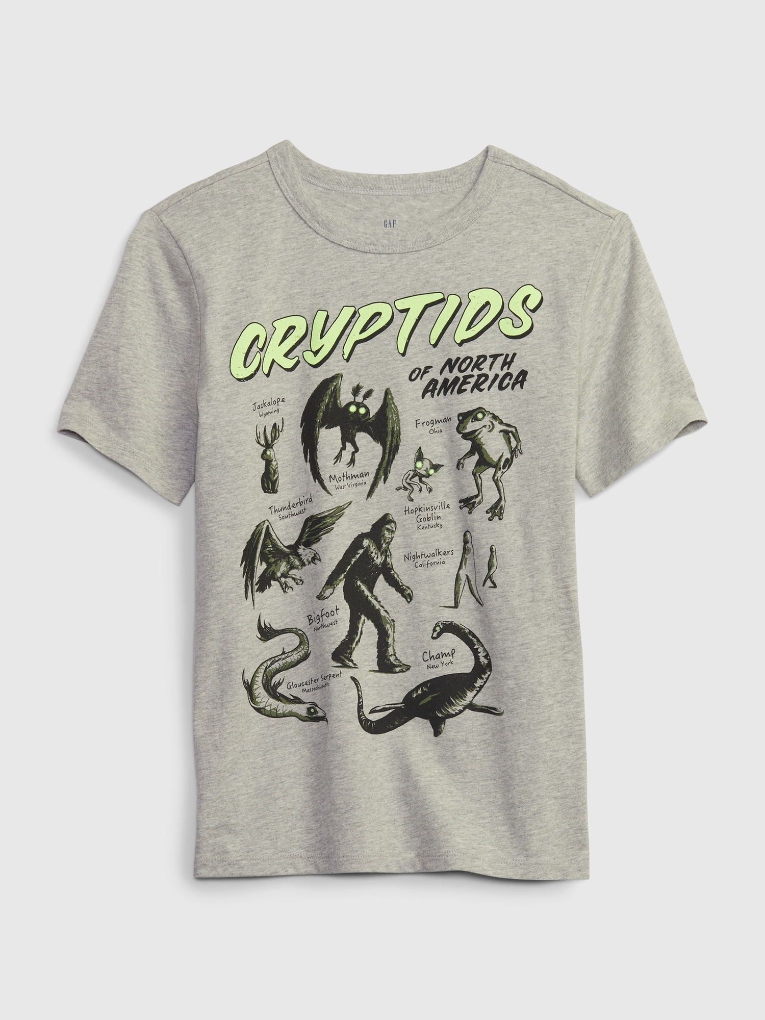 Kids 100% Organic Graphic T-Shirt |