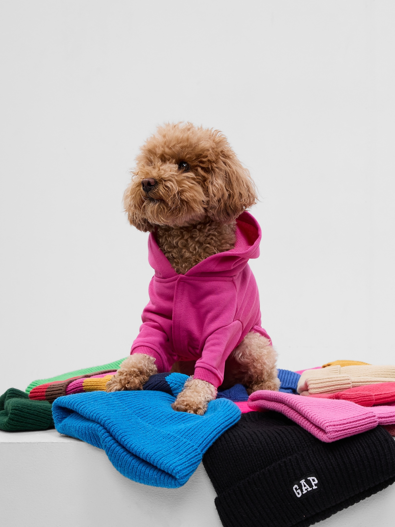 Gap Logo Pet Hoodie pink. 1