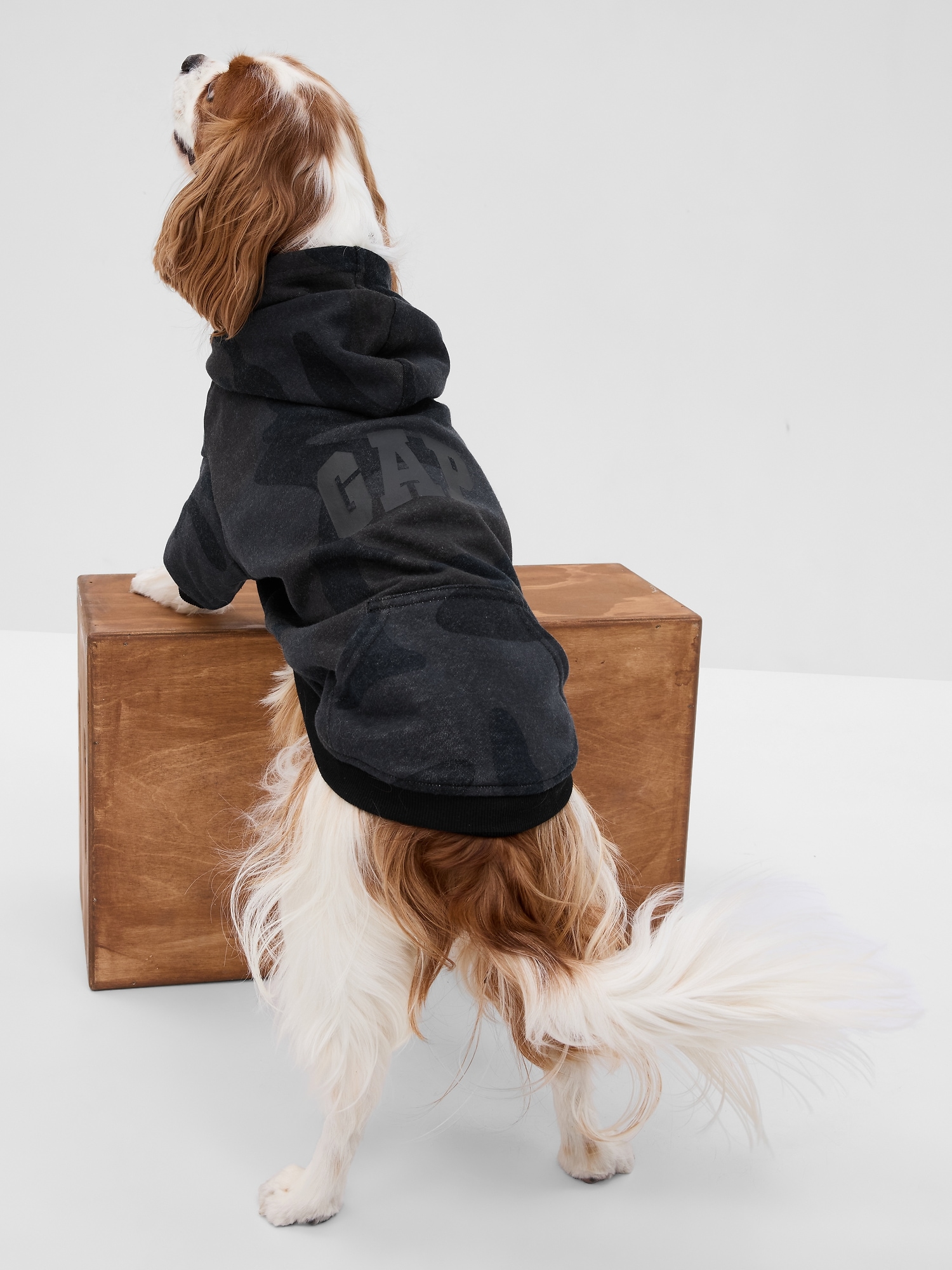 Gap Logo Pet Hoodie black. 1