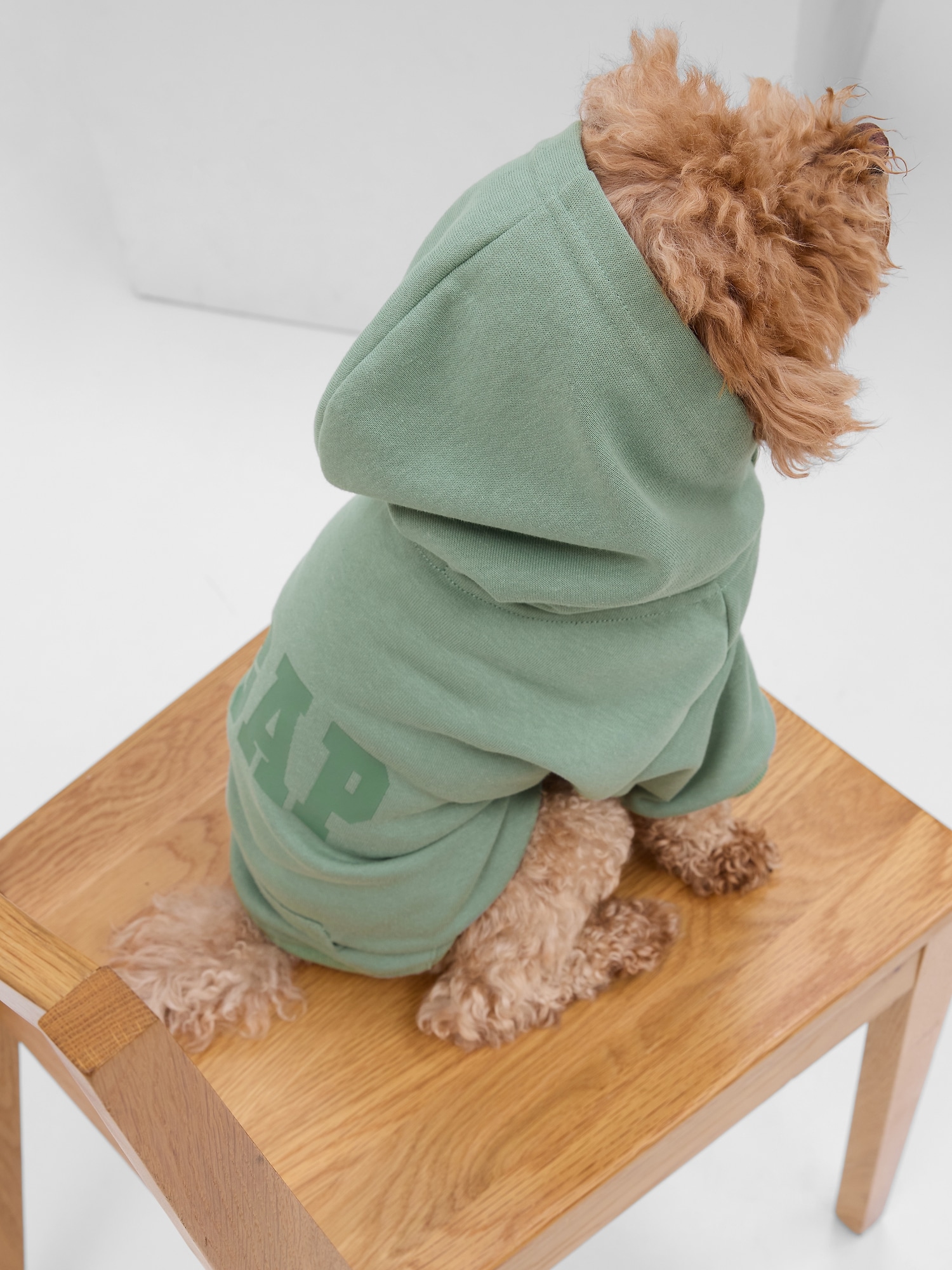 Gap Logo Pet Hoodie green. 1