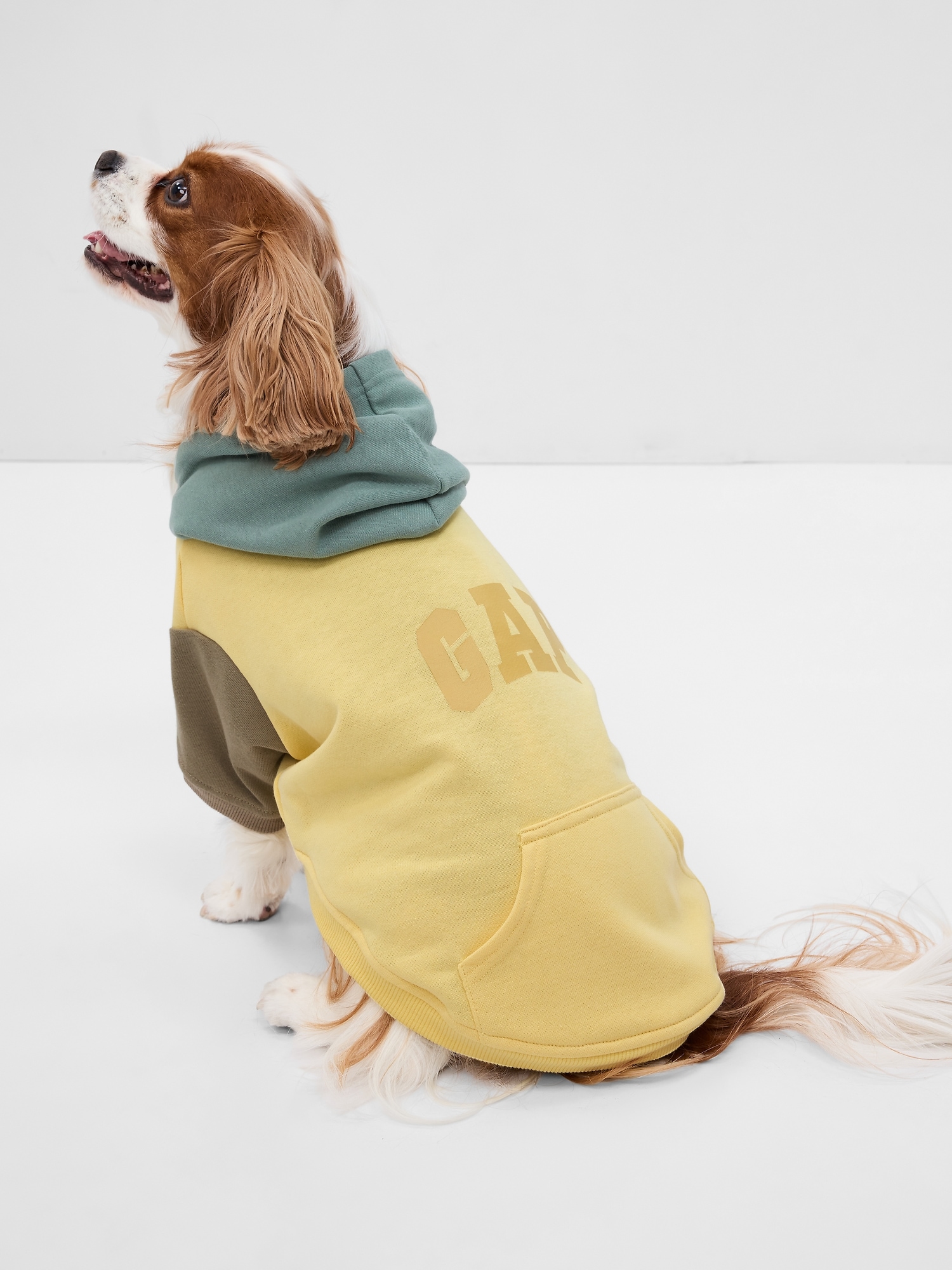 Gap Logo Pet Hoodie multi. 1