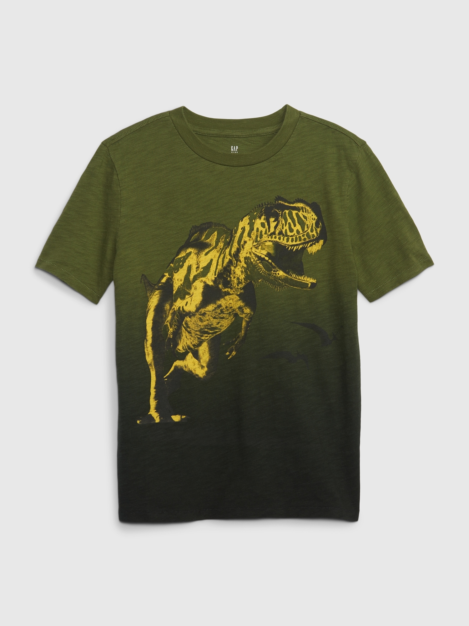 Gap Kids Animal Graphic T-Shirt green. 1