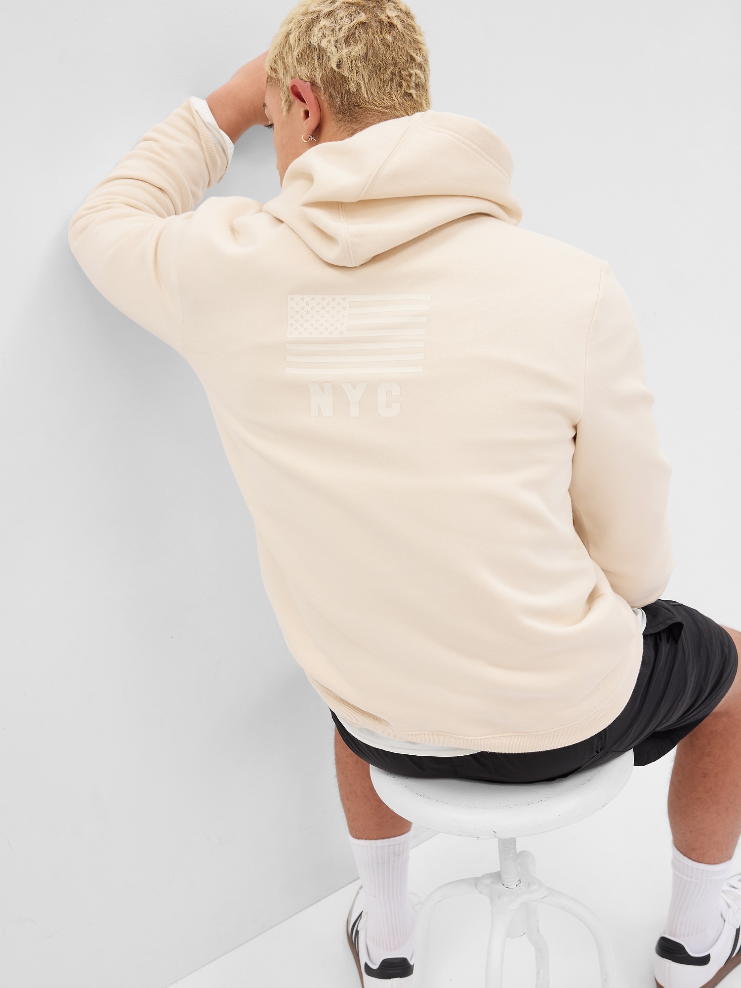 Gap Arch Logo Flag Hoodie Gap