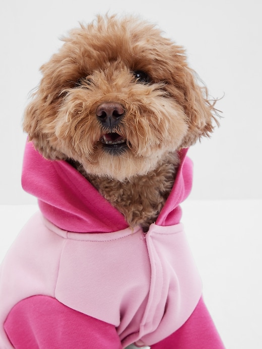 Image number 2 showing, Gap &#215 Barbie&#153 Arch Logo Dog Hoodie