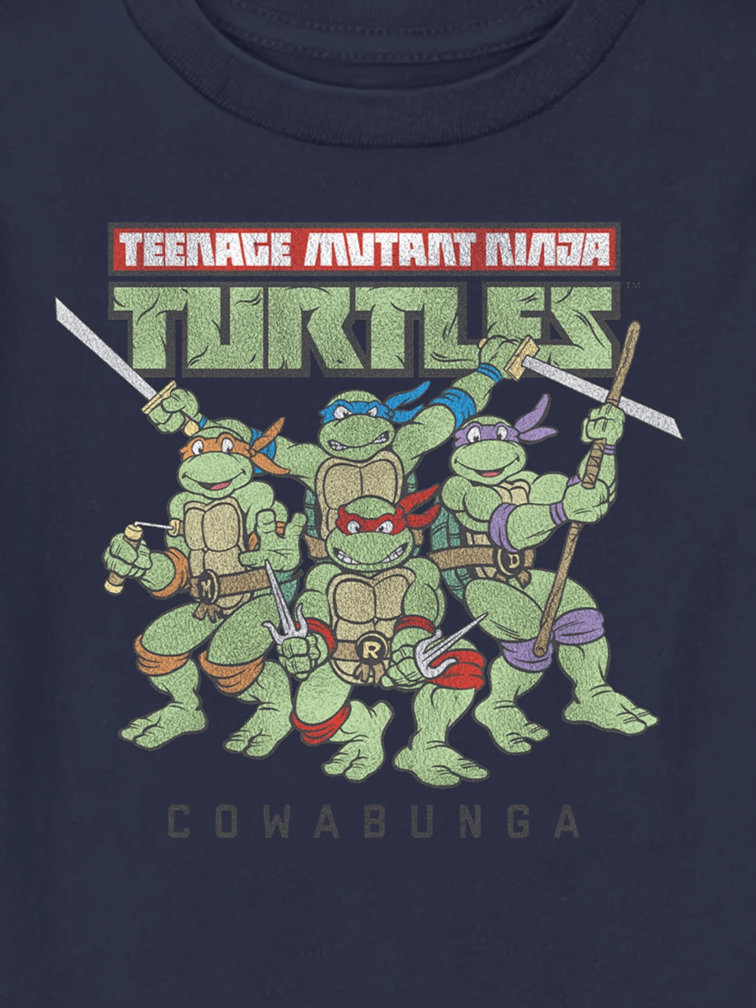 Toddler Teenage Mutant Ninja Turtles Cowabunga Fade Tee