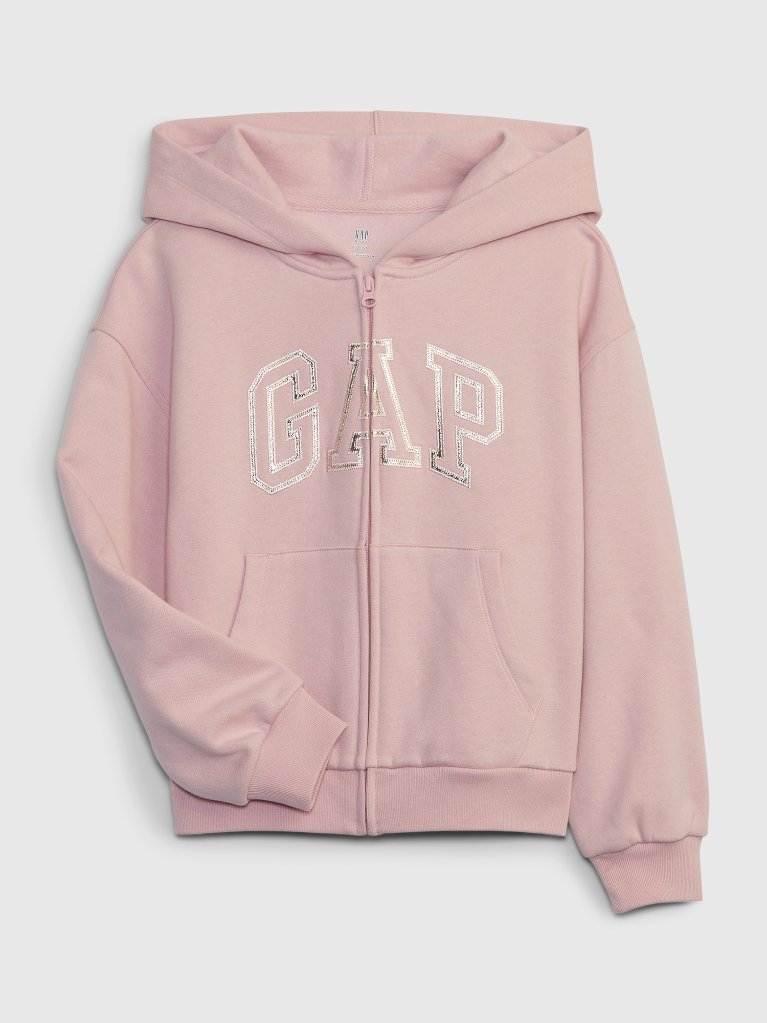 Kids Gap Arch Logo Hoodie