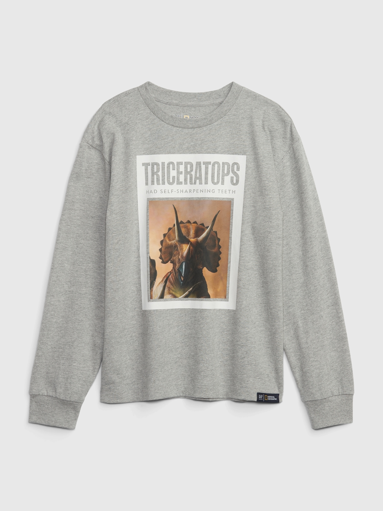 Problem nødvendighed fuzzy Kids 100% Organic Cotton National Geographic Dinosaur Graphic T-Shirt | Gap