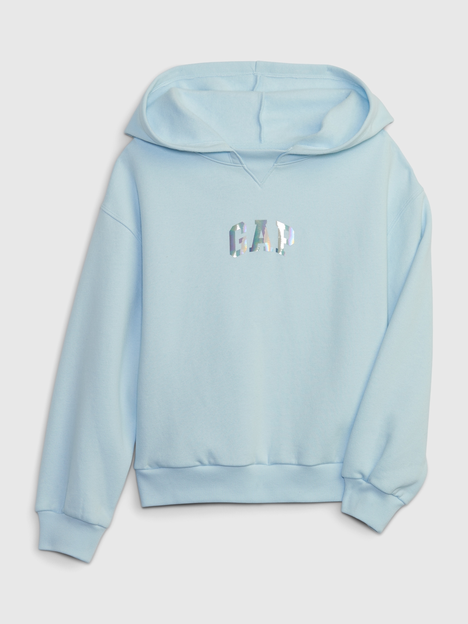 Kids Gap Arch Logo Hoodie