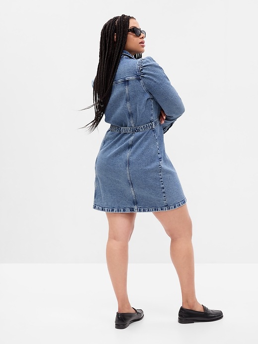 Napa Denim Mini Dress