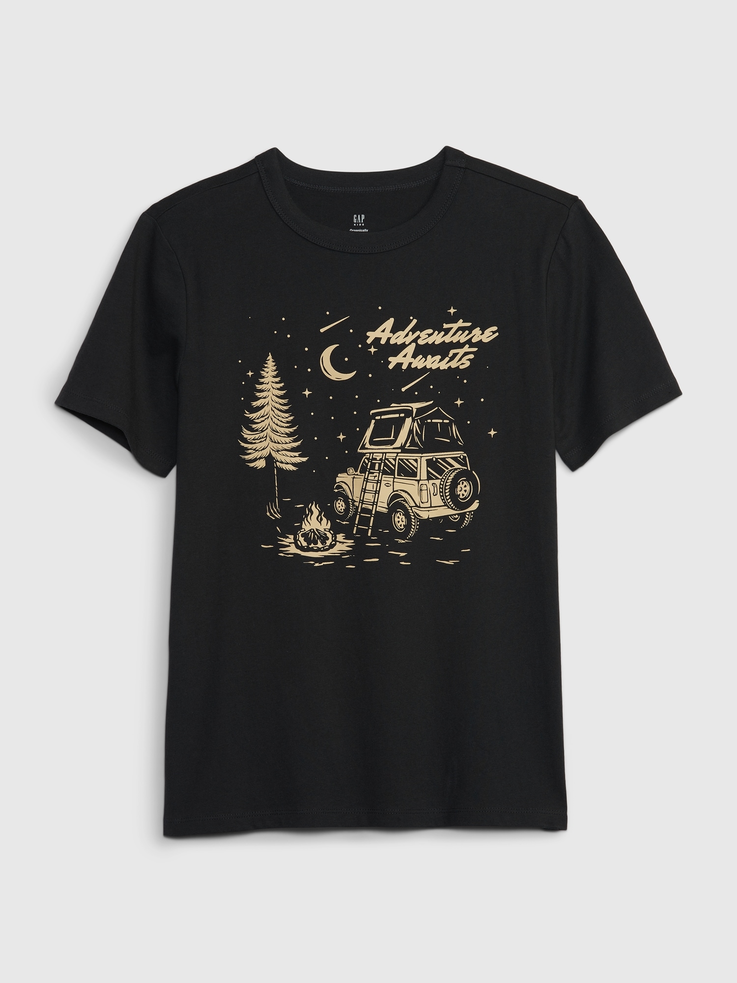 Kids Organic Cotton Graphic T Shirt Gap kids-organic-cotton-graphic-t-shirt-gap