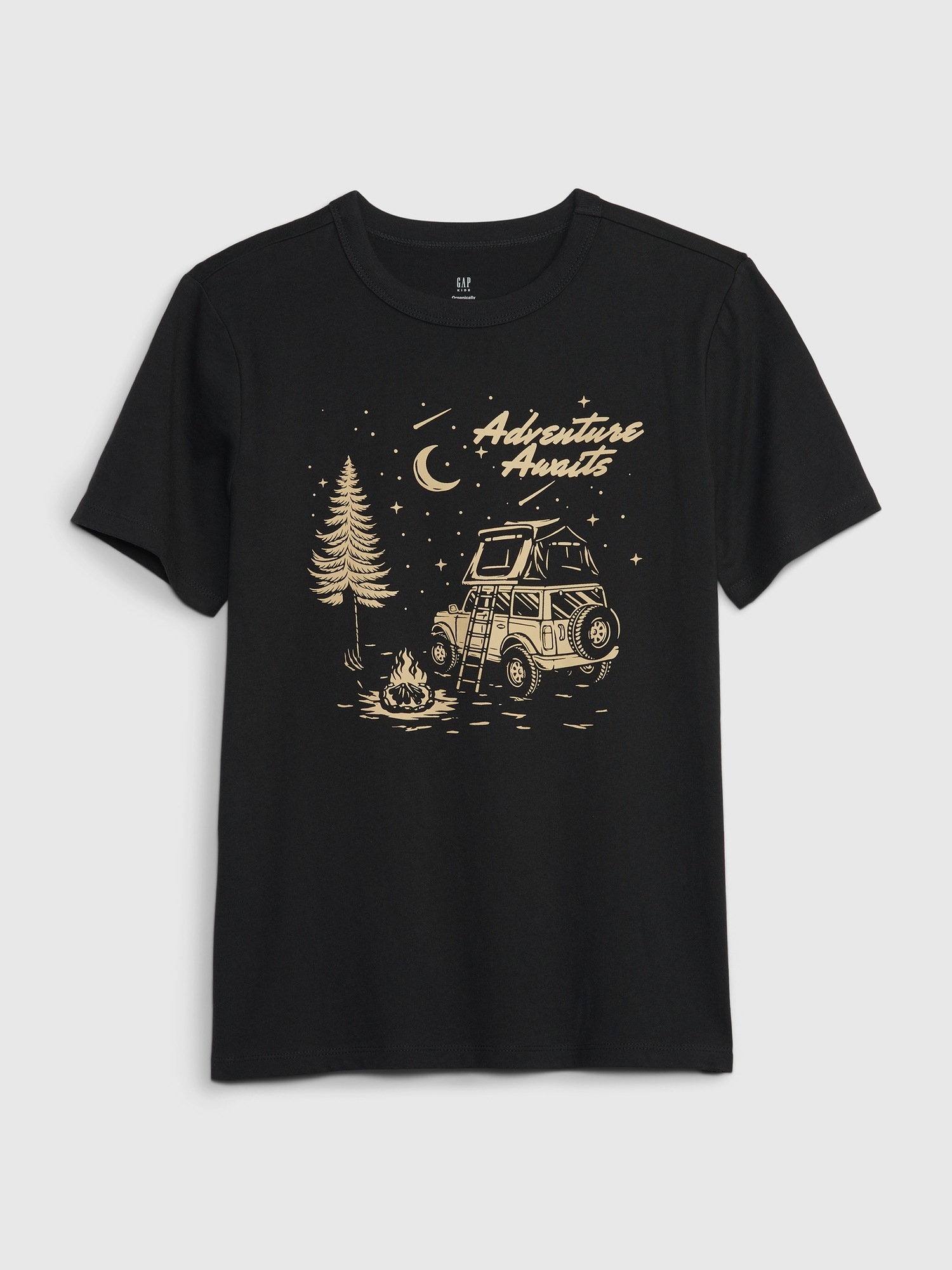Kids Organic Cotton Graphic T Shirt Gap
