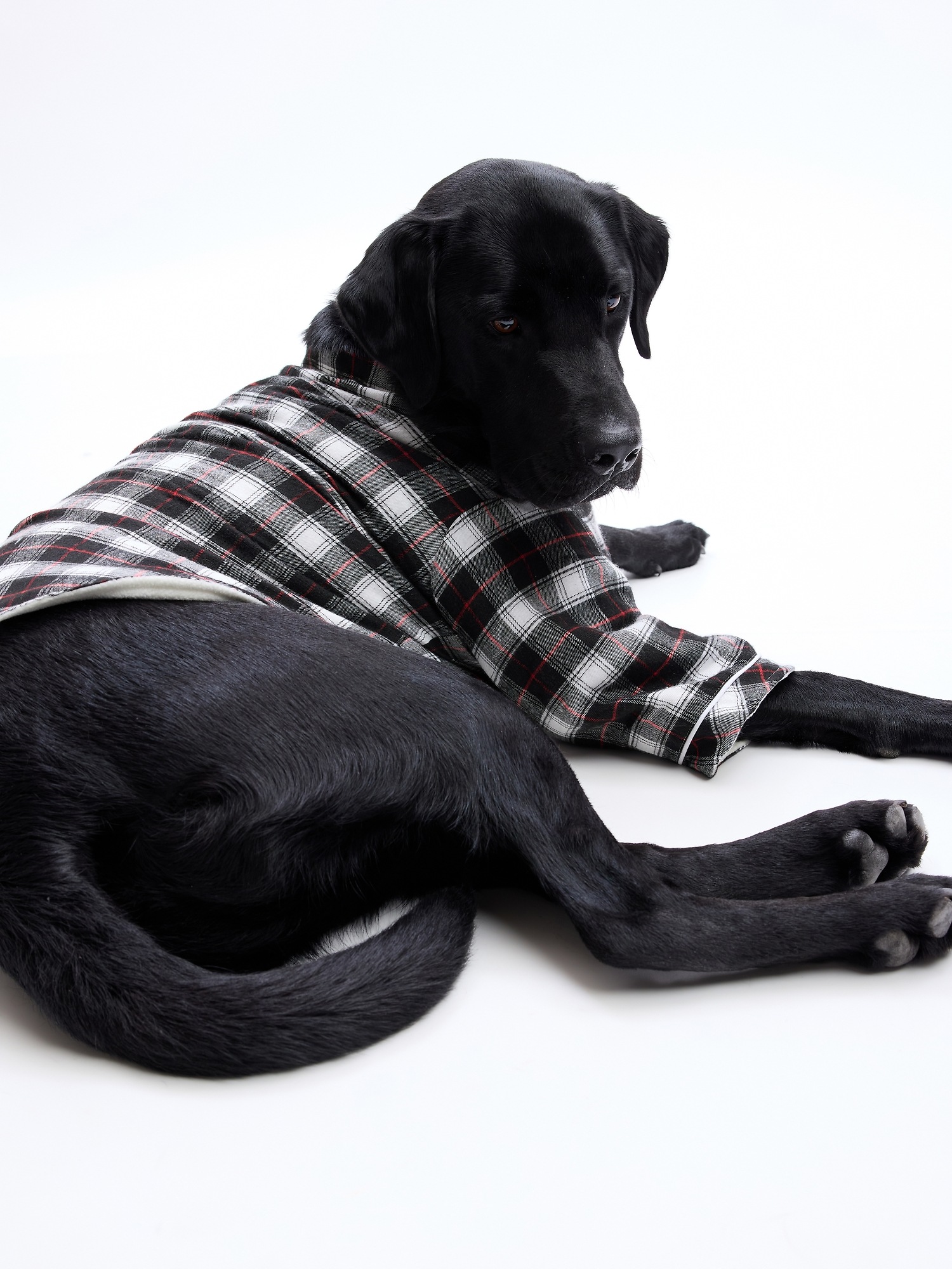White plaid dog pajamas online