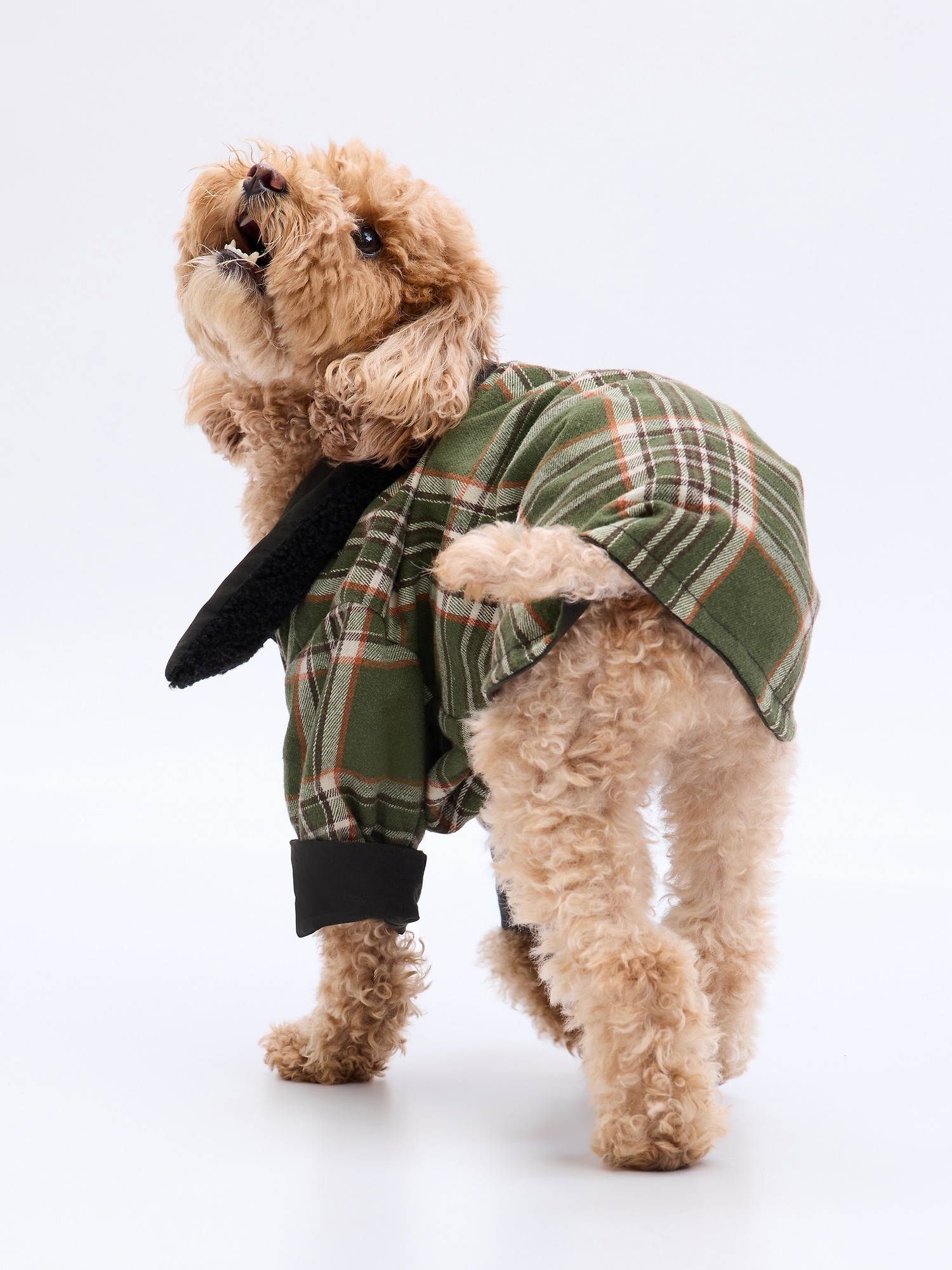 Pet Workman Jacket Gap