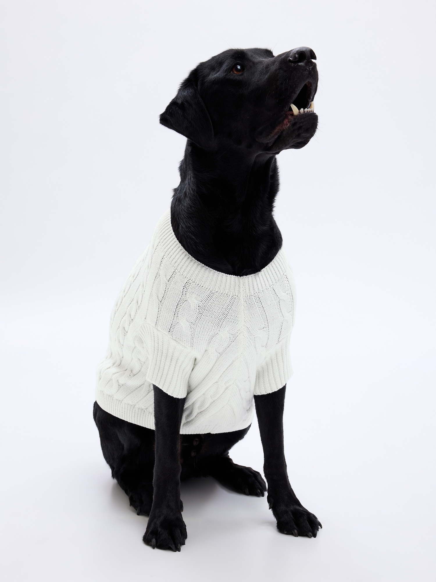 Gap Cable-Knit Dog Sweater