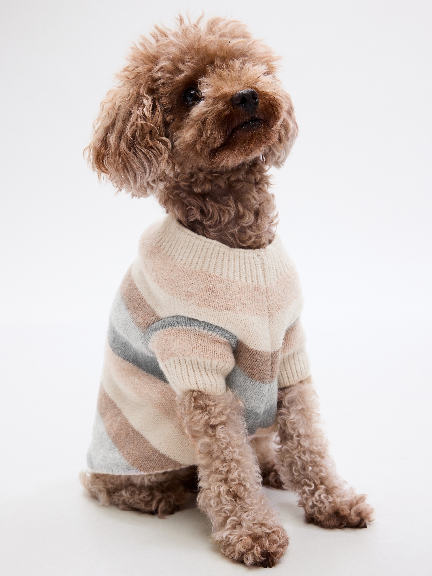 Gap Pet CashSoft Sweater