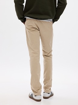Modern Khakis in Skinny Fit with GapFlex Gap