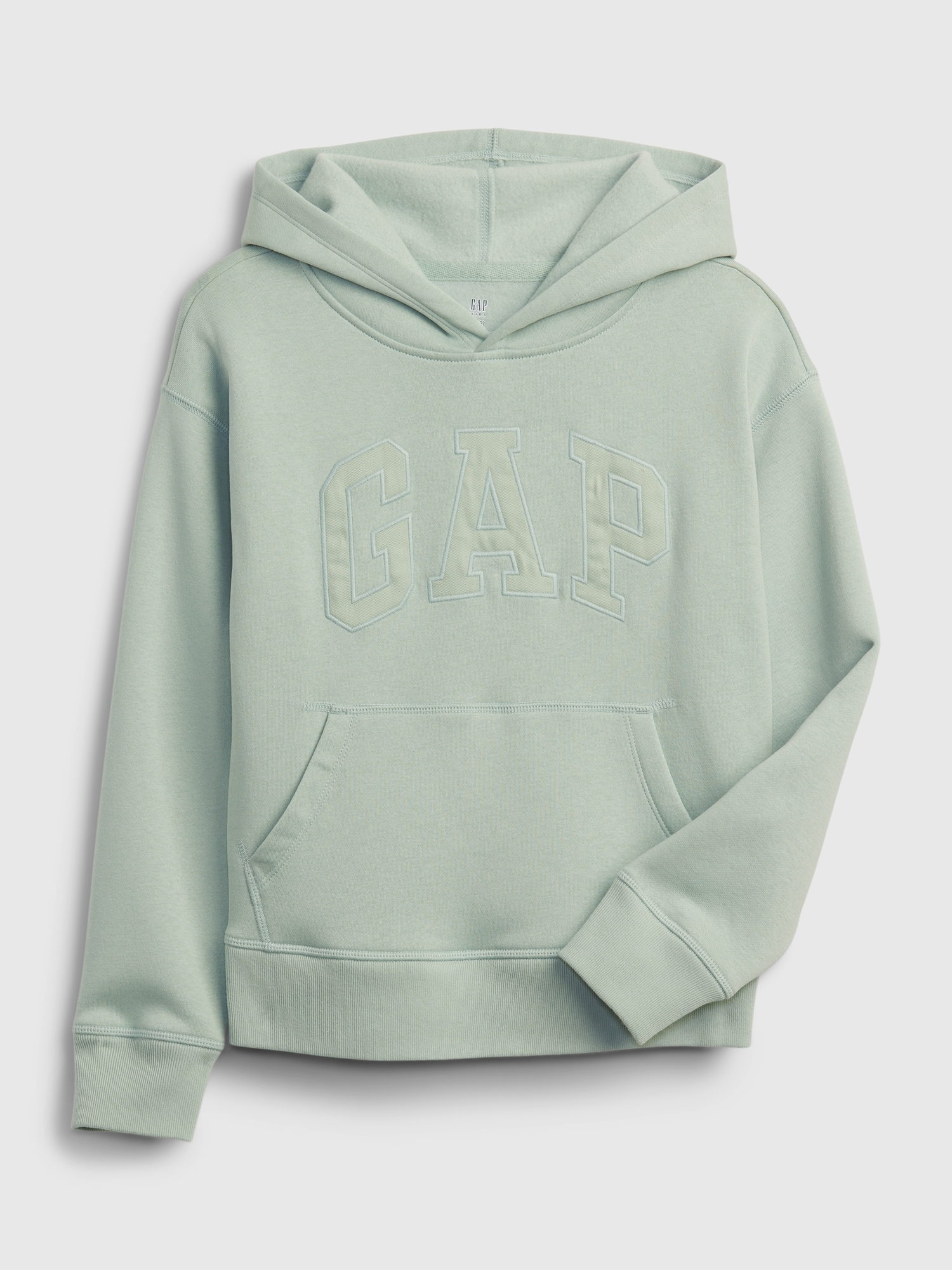 Kids Gap Arch Logo Hoodie