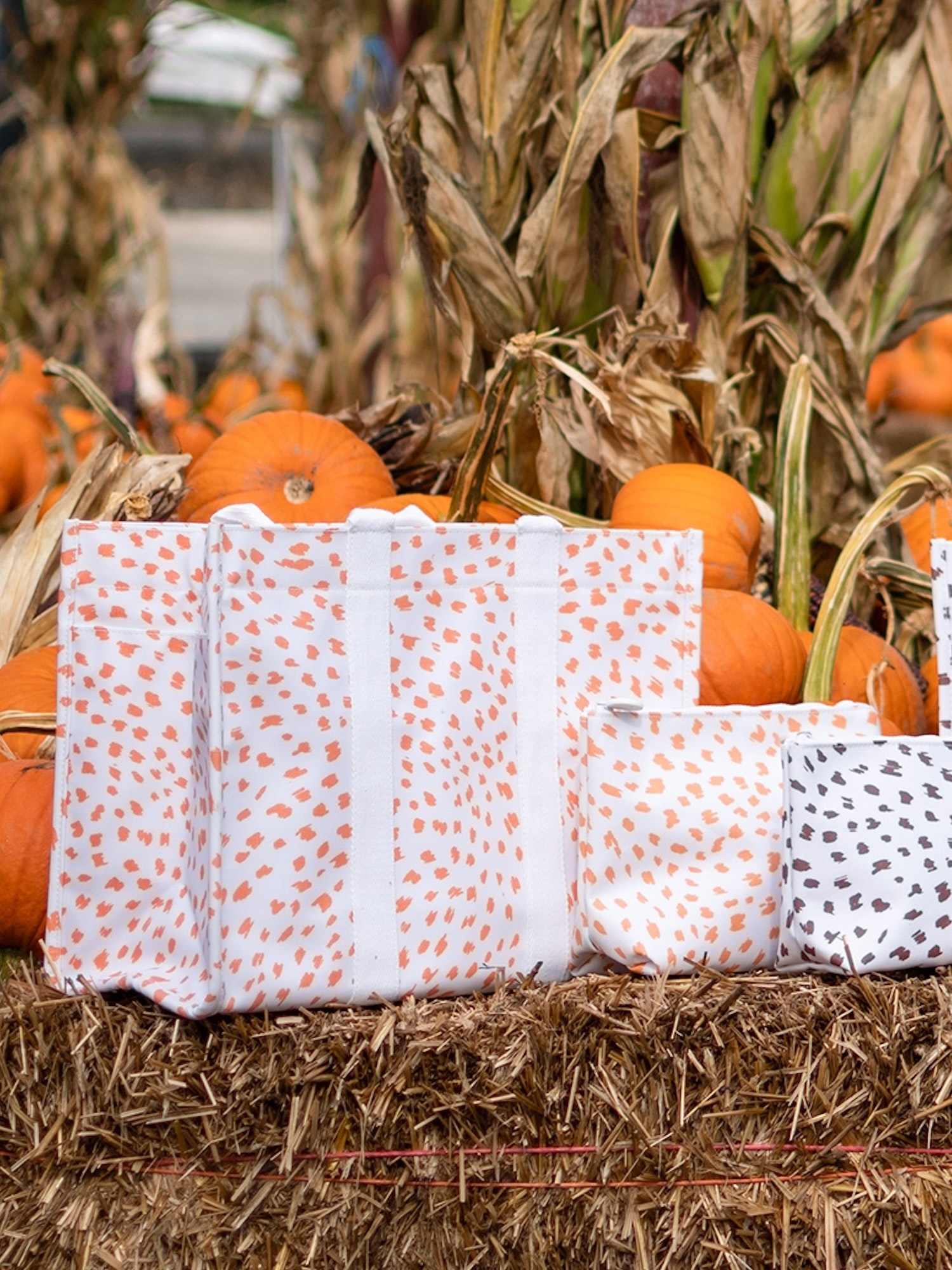JULIET FLORAL LUXE GLOSS WASH BAG | TRVL Design main image 1