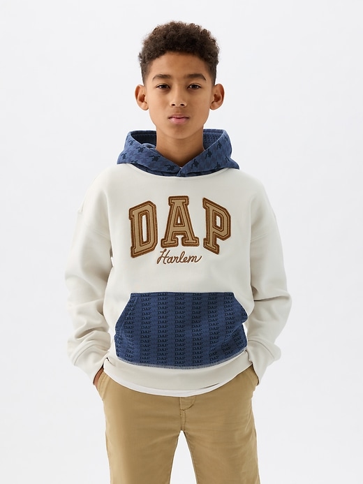 1 of 8 showing, with the color carls stone of product GAP × DAP Kids Vintage Soft Colorblock Logo Hoodie
