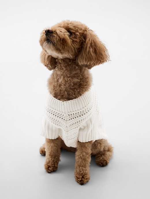 1 of 8 showing, with the color new off white of product Crochet Pet Sweater