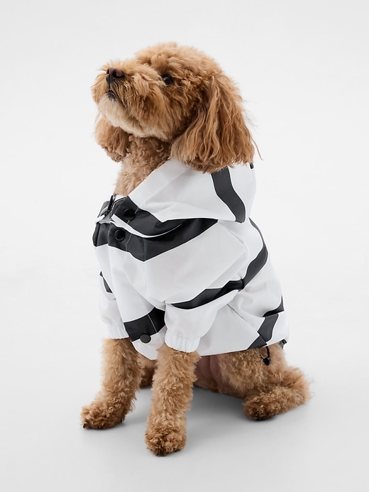 1 of 8 showing, with the color navy blue & white stripe of product Pet Rain Jacket