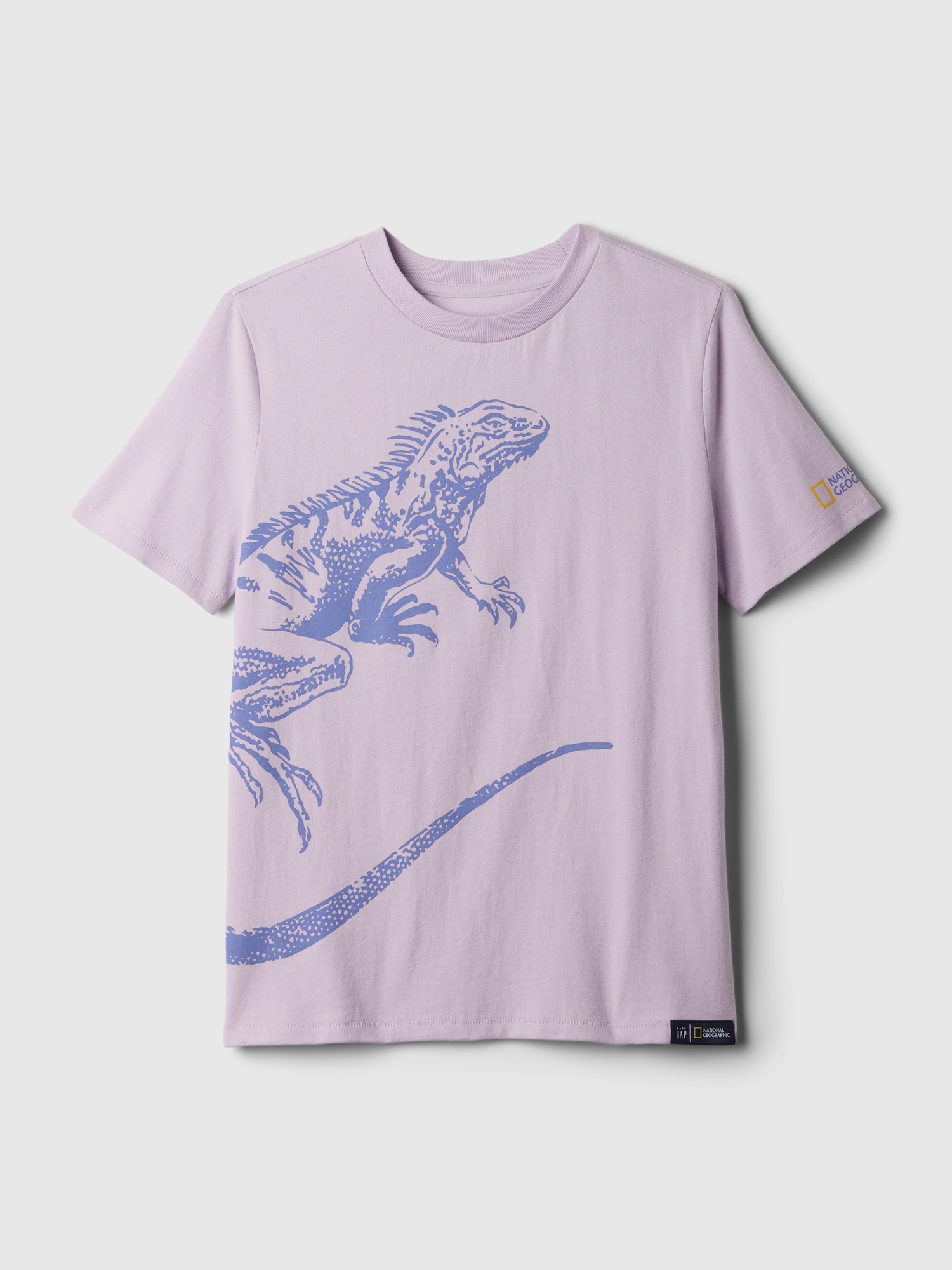 Kid Boy 100% Cotton Animal Dinosaur Print Colorblock Breathable Long-sleeve Tee