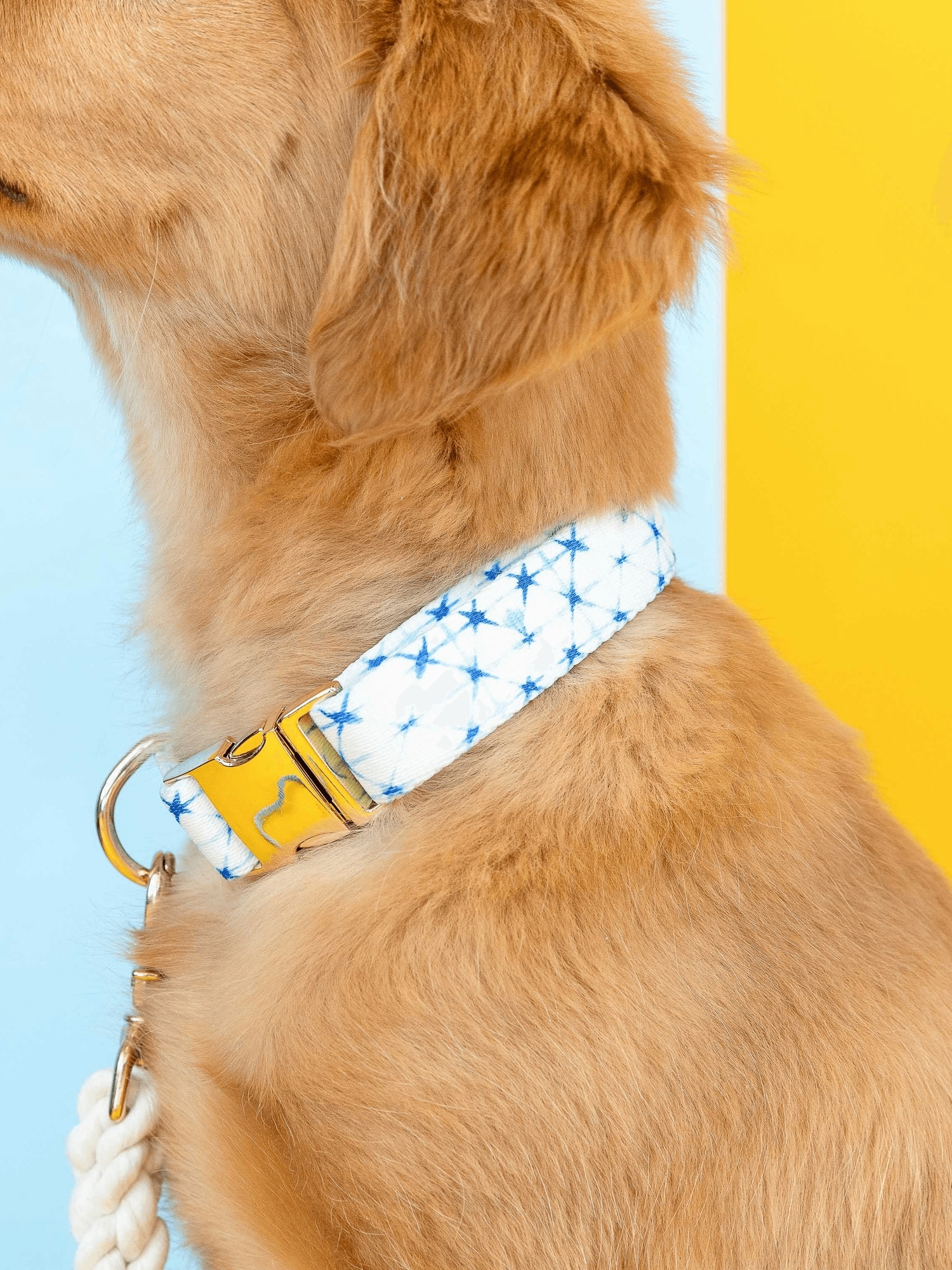 Old navy dog collars hotsell