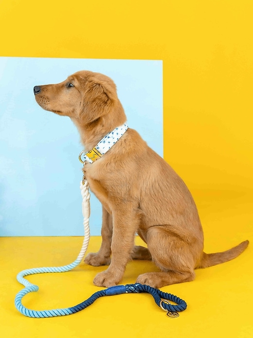 Image number 4 showing, Printed Fabric Dog Collar