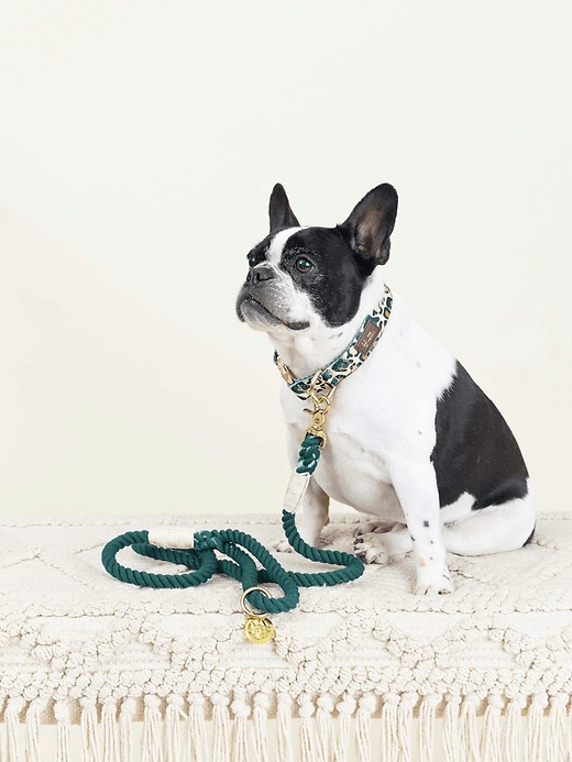 Image number 4 showing, Rope Organic Cotton Dog Leash