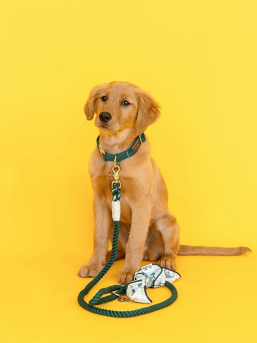 Image number 5 showing, Rope Organic Cotton Dog Leash