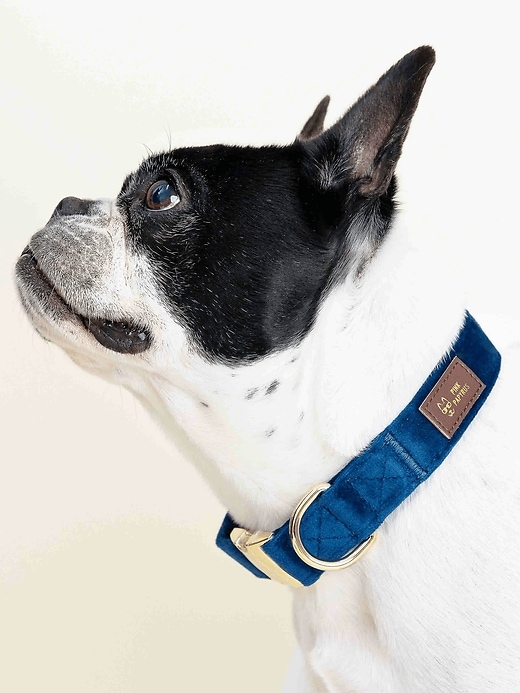 Image number 3 showing, Velvet Dog Collar