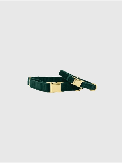 Image number 2 showing, Velvet Dog Collar