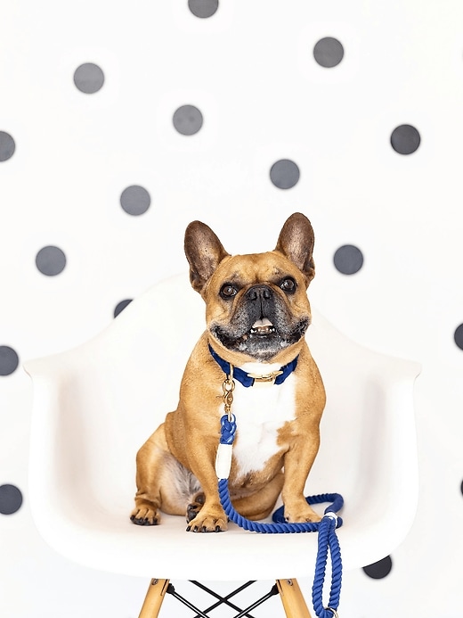 Image number 3 showing, Rope Organic Cotton Dog Leash