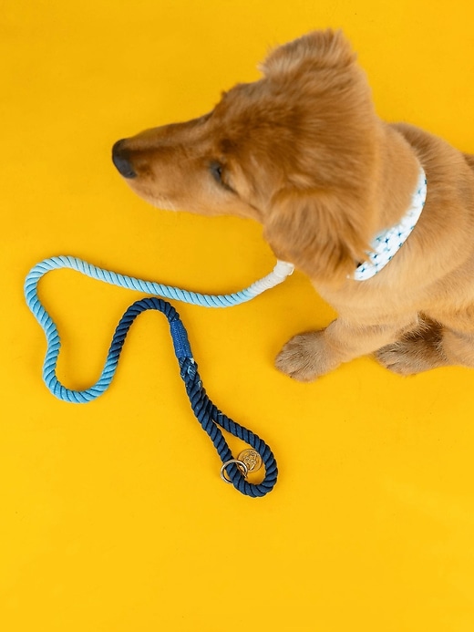 Ombre rope collar sale