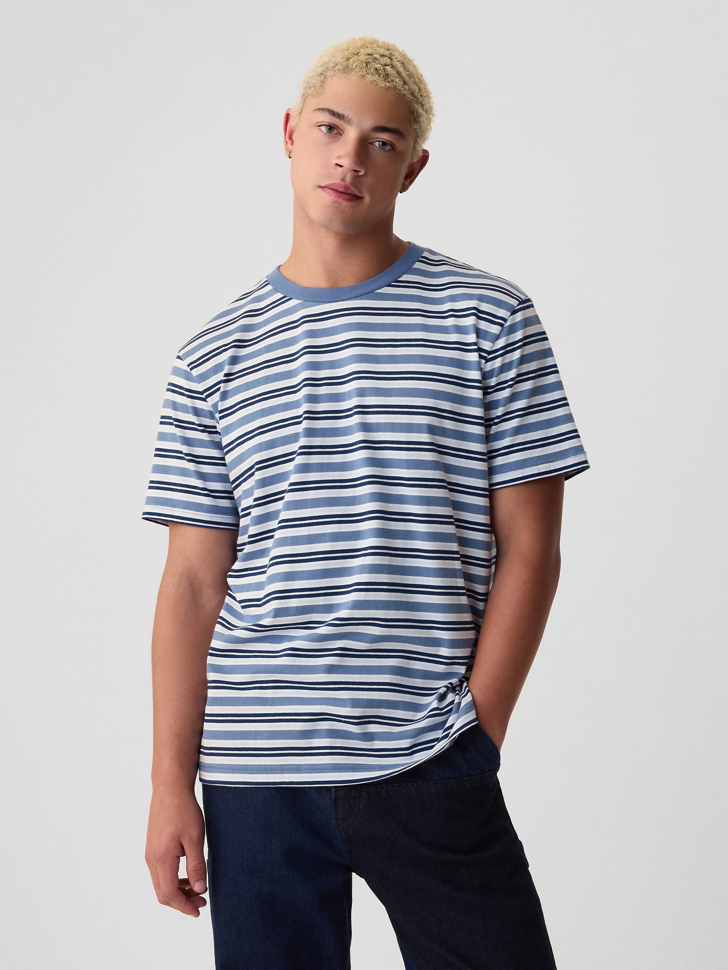 Shop Gap Original T-shirt In Blue Multi Stripe