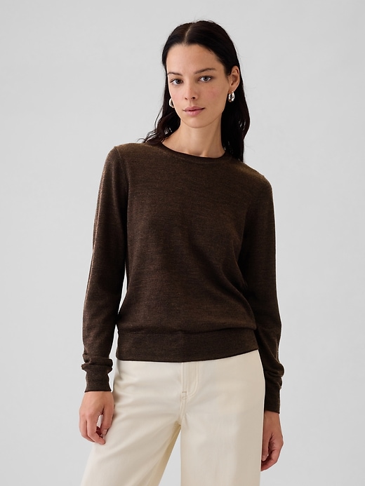 1 of 8 showing, with the color TERRA BROWN of product Merino Sweater