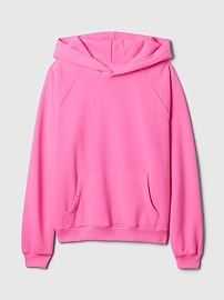 Vintage Soft Hoodie