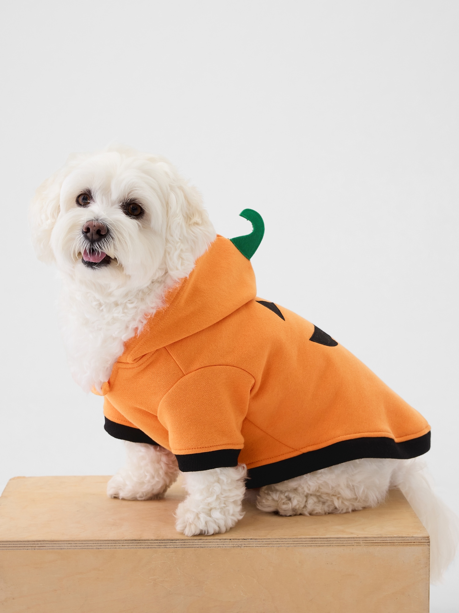 Pet Halloween Costume
