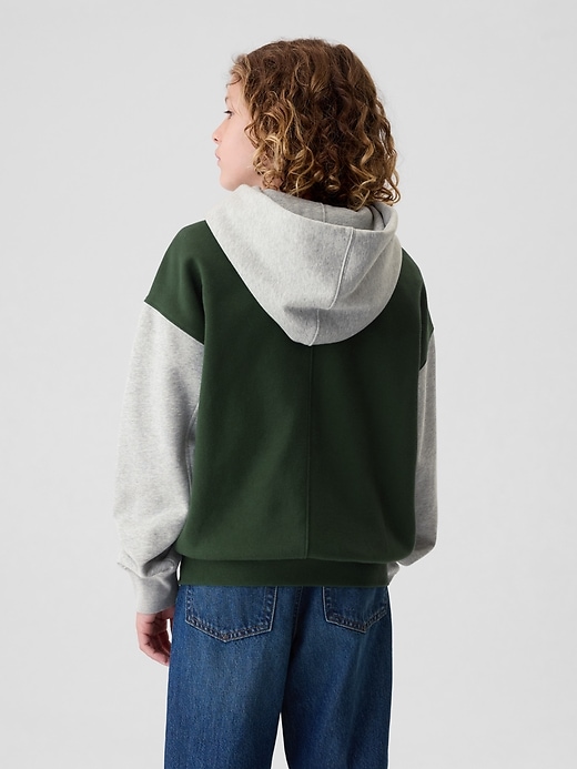 2 of 8 showing, with the color green of product Kids VintageSoft Colorblock Zip Hoodie
