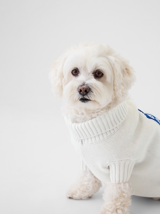 2 of 8 showing, with the color new off white of product Pet Varsity Sweater