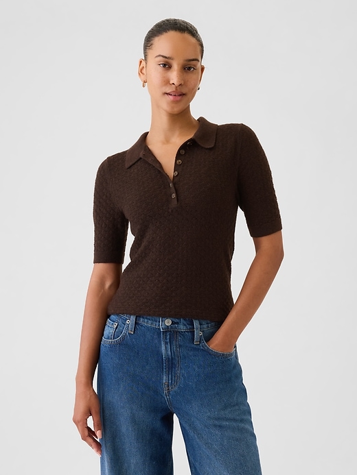 1 of 8 showing, with the color terra brown of product Pointelle Polo Sweater